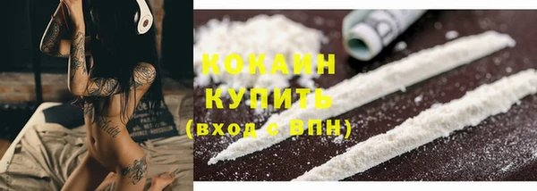 spice Богданович