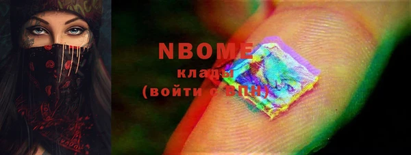 spice Богданович