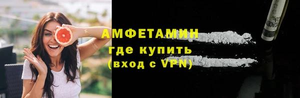 spice Богданович