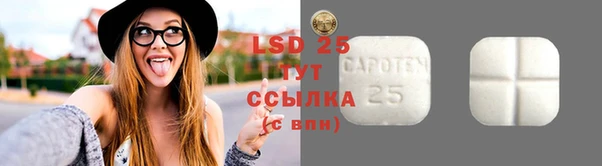 spice Богданович