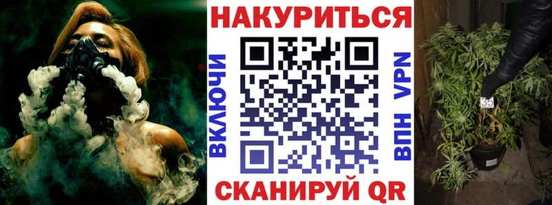 продажа наркотиков  Нерюнгри  Шишки марихуана семена 